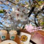 ヒメ日記 2026/04/12 08:41 投稿 ふゆ スピード難波店