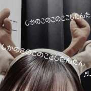 ヒメ日記 2024/12/23 11:15 投稿 しずく Felice(フェリス)