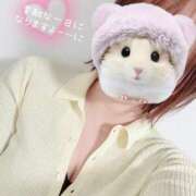 ヒメ日記 2025/03/15 11:38 投稿 しずく Felice(フェリス)