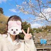 ヒメ日記 2025/04/12 12:05 投稿 しずく Felice(フェリス)