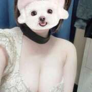 ヒメ日記 2025/04/27 12:37 投稿 しずく Felice(フェリス)