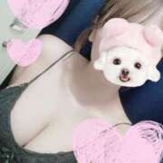 ヒメ日記 2025/05/11 14:56 投稿 しずく Felice(フェリス)