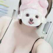 ヒメ日記 2025/05/21 13:52 投稿 しずく Felice(フェリス)