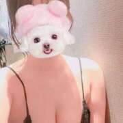 ヒメ日記 2025/05/25 13:01 投稿 しずく Felice(フェリス)