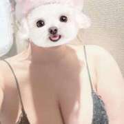 ヒメ日記 2025/07/30 17:49 投稿 しずく Felice(フェリス)