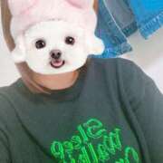 ヒメ日記 2025/09/20 16:39 投稿 しずく Felice(フェリス)