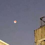 ヒメ日記 2025/09/08 16:49 投稿 久留米りんこ 一夜妻