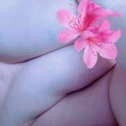 ヒメ日記 2025/09/18 00:09 投稿 久留米りんこ 一夜妻