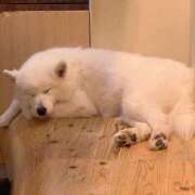 ヒメ日記 2026/06/09 10:09 投稿 久留米りんこ 一夜妻