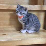 ヒメ日記 2025/02/01 22:23 投稿 まい 制服向上委員会