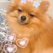 ヒメ日記 2025/04/16 01:34 投稿 まい 制服向上委員会