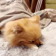 ヒメ日記 2025/05/16 21:01 投稿 まい 制服向上委員会