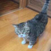 ヒメ日記 2025/06/25 09:30 投稿 まい 制服向上委員会