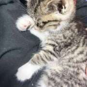 ヒメ日記 2025/06/29 16:35 投稿 まい 制服向上委員会