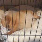 ヒメ日記 2025/08/12 03:22 投稿 まい 制服向上委員会