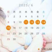 ヒメ日記 2025/05/08 18:00 投稿 星（きらり） 男爵