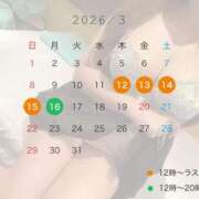 ヒメ日記 2026/02/25 11:15 投稿 星（きらり） 男爵