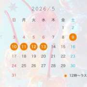 ヒメ日記 2026/03/23 11:03 投稿 星（きらり） 男爵