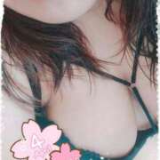 ヒメ日記 2025/04/29 16:07 投稿 みくる 熟女の風俗最終章 所沢店