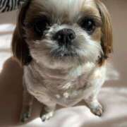 ヒメ日記 2024/12/10 03:53 投稿 れん 熟女の風俗最終章 所沢店