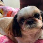 ヒメ日記 2024/12/20 03:53 投稿 れん 熟女の風俗最終章 所沢店