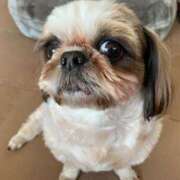 ヒメ日記 2025/02/14 05:53 投稿 れん 熟女の風俗最終章 所沢店