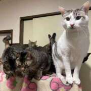 ヒメ日記 2024/12/11 10:55 投稿 まあみ One More奥様　横浜関内店