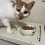 ヒメ日記 2024/12/21 10:35 投稿 まあみ One More奥様　横浜関内店