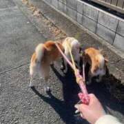 ヒメ日記 2025/01/03 09:52 投稿 まあみ One More奥様　横浜関内店