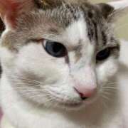 ヒメ日記 2025/01/18 14:55 投稿 まあみ One More奥様　横浜関内店