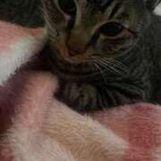 ヒメ日記 2025/02/03 08:29 投稿 まあみ One More奥様　横浜関内店