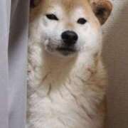 ヒメ日記 2025/02/12 07:00 投稿 まあみ One More奥様　横浜関内店