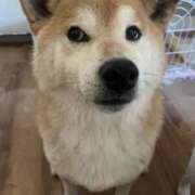 ヒメ日記 2025/02/20 11:01 投稿 まあみ One More奥様　横浜関内店