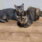 ヒメ日記 2025/02/22 17:52 投稿 まあみ One More奥様　横浜関内店