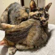 ヒメ日記 2025/02/25 11:25 投稿 まあみ One More奥様　横浜関内店