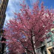 ヒメ日記 2025/03/22 18:22 投稿 むぎ ビデオDEはんど 名古屋校