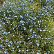 ヒメ日記 2025/05/04 18:24 投稿 むぎ ビデオDEはんど 名古屋校