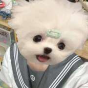 ヒメ日記 2025/06/10 18:24 投稿 むぎ ビデオDEはんど 名古屋校