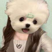 ヒメ日記 2026/01/26 18:15 投稿 むぎ ビデオDEはんど 名古屋校