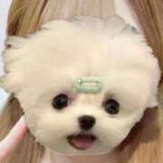 ヒメ日記 2026/04/12 18:25 投稿 むぎ ビデオDEはんど 名古屋校