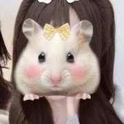 ヒメ日記 2026/04/26 11:45 投稿 むぎ ビデオDEはんど 名古屋校