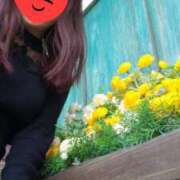 ヒメ日記 2025/04/29 10:04 投稿 あやみ 松本人妻隊