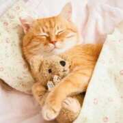 ヒメ日記 2025/12/06 18:10 投稿 ふう♪ プリティーガール