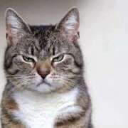 ヒメ日記 2026/02/01 18:25 投稿 ふう♪ プリティーガール