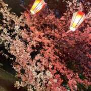 ヒメ日記 2026/04/05 12:55 投稿 ふう♪ プリティーガール