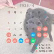 ヒメ日記 2026/04/11 13:35 投稿 ふう♪ プリティーガール