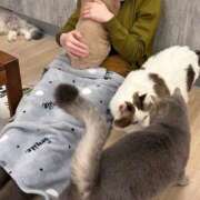 ヒメ日記 2026/03/24 01:14 投稿 みみ 敏感！逆エステ錦糸町