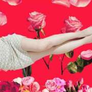 ヒメ日記 2024/12/20 05:15 投稿 めぐ 若葉