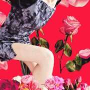 ヒメ日記 2025/01/06 05:05 投稿 めぐ 若葉