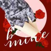 ヒメ日記 2025/04/29 04:01 投稿 めぐ 若葉